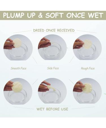 15 Pack Mini Exfoliating Loofah Face Pads - Eco-Friendly Shower Scrubber & Makeup Cleanser - Buy Online on GoSupps.com