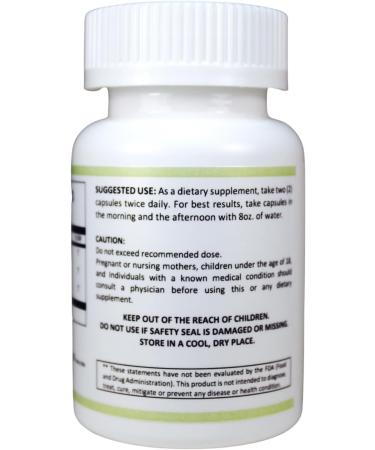 LiverControl - Natural Detox Support with Burdock Root Papaya Seed and Choline for Liver Health 120 Veg Caps Made in USA - Buy Online on GoSupps.com