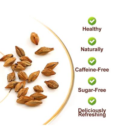 Buy PlantGift Barley Tea 200G - Caffeine Free Sugar Free Digestive Support & Fat Burning Mugicha - Buy Online on GoSupps.com