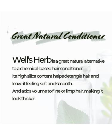 Organic Horsetail Herb for DIY Herbal Hair Infused Oil - 0.5oz for Hair Growth Treatment - Buy Online on GoSupps.com