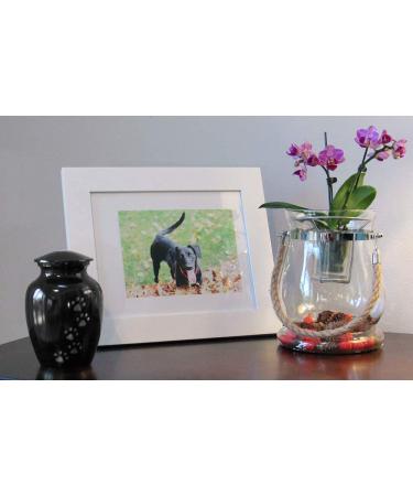 Trupoint Memorials Small Pet Urn - Loving Resting Place for Dogs and Cats Ashes (Up to 17 Pounds) - Black - Buy Online on GoSupps.com