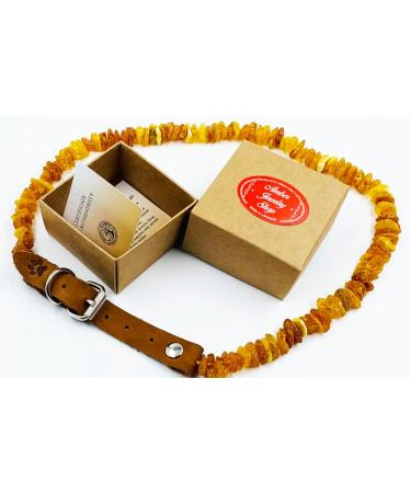 Amber Jewelry Shop Amber Necklace for Dogs Amber Collar for Dogs Natural Baltic Amber Beads 35-40 - Buy Online on GoSupps.com