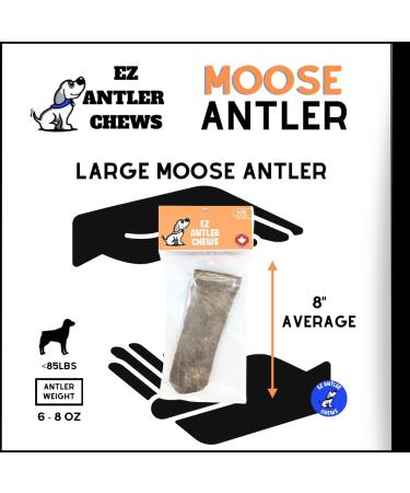 EZ Antler Chews - Moose Antlers for Dogs - Large Whole - Dogs under 85lbs - Long Lasting Dog Treats Dog Chews - Marrow Bone Dog Treats - Naturally Shed - Preservative Free Cruelty Free Antler Dog Chew 1 count (Pack of 1) - Buy Online on GoSupps.com