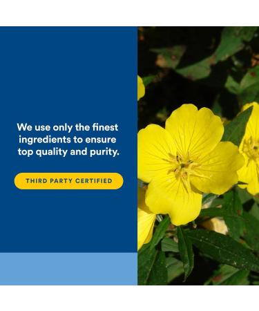 Natural Factors Ultra Prim Evening Primrose Oil 1000mg A Natural Source of Omega-6 GLA 90 Softgels 90 Count (Pack of 1) - Buy Online on GoSupps.com