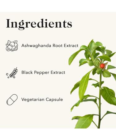 Mett Wellness Ashwagandha with Piperine | 60 Capsules | Supports Brain Function Energy & Immune Function | Helps Encourage a Sense of Restfulness - Buy Online on GoSupps.com