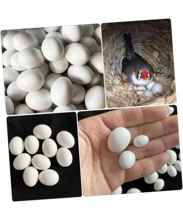 Yardwe 12pcs Fake Eggs Minieggs Household Egg Props Mini Egg Graffiti Plastic Eggs Fake Bird Eggs Parrot 1.6x1.2cm White - Buy Online on GoSupps.com