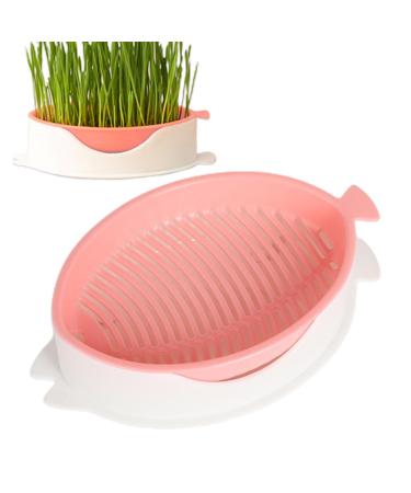 Tebinzi Catnip Cup Catnip Planter Hydroponic Catnip Culture - Cultivation Box Planting Soiless Fish Shape with Mesh Tray for Tebinzi