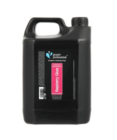 GROOM PROFESSIONAL Raspberry Gloss Dog Shampoo - Deep Cleansing Shampoo for Smelly Dogs - Adds Shines and Condition to Coat - Great for Dull or Dry Coats - Revitalising Raspberry Scent 4 Litre