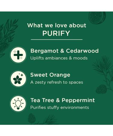 Gya Labs Purify Essential Oil Roll-On - Fresh Cleansing Scent 10ml (Pack of 1) - Buy Online on GoSupps.com