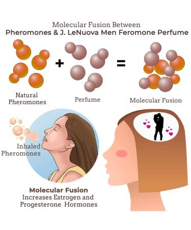 AKIOLOAS Pheromone Cologne for Men - Attract Women with J. LeNuova Feromone Perfume - 1 Bottle - Buy Online on GoSupps.com