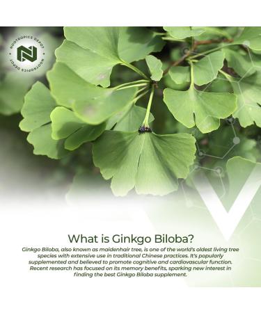 Nootropics Depot Ginkgo Biloba Extract Tablets | 120mg | 365 Count | Minimum 10% Kaempferol Glycoside + 2% Bilobalide | May Help Promote Cognitive & Cardiovascular Function 365 Count (Pack of 1) - Buy Online on GoSupps.com