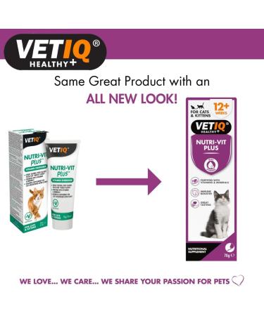 VETIQ Nutri-Vit Plus for Cats (70g) - Essential Cat Supplement for Illness Recovery and Energy Boost - Buy Online on GoSupps.com