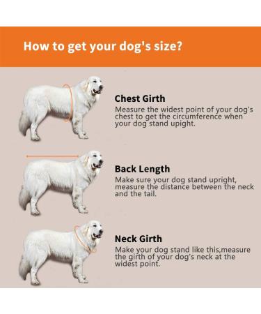 Dog Life Jacket Medium Blue | Adjustable Belt Pet Saver Swimming Safety Swimsuit with Reflective Stripes | Size M - Buy Online on GoSupps.com