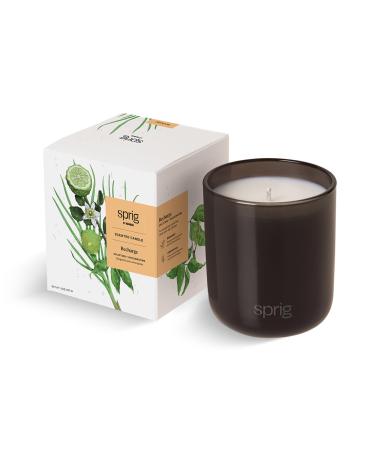 Sprig by Kohler Recharge Aromatherapy Candle with Bergamot and Lemongrass 100% Natural Soy-Coconut Wax Uplifting and Invigorating Scent Gift for Holidays 8 oz