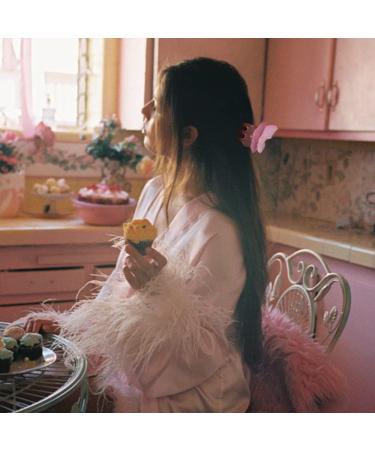 KICOSY 5 PCS 3 Inch Matte Butterfly Hair Clips for Women & Girls - Strong Hold Claw Clips for Thick Hair - Y2K Jaw Clips - Quinceanera Hair Accessories - Buy Online on GoSupps.com