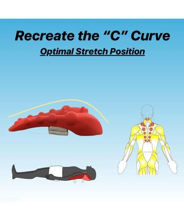 Relieflylab Trapezius Stretcher & Neck Massage Tool Ultimate Relief for Neck Pain (Black - Buy Online on GoSupps.com