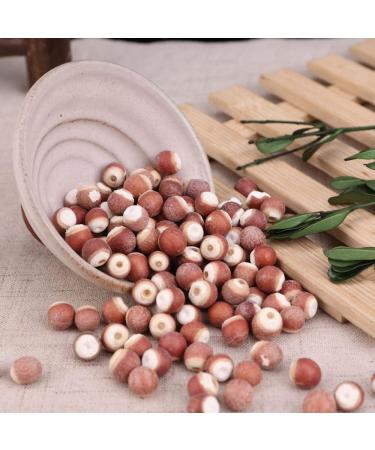 Gorgon Fruit Semen Euryales Gorgon Euryale Seed the Seed of Gordon Euryale Euryale Ferox Salisb.Ex Konig Et Sims qian Shi nature pure wild the Weaver Qian Shi 16 Oz - Buy Online on GoSupps.com