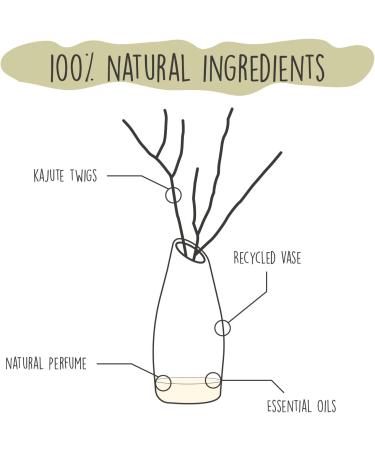 We Love The Planet Diffuser Light Lemongrass 50 ml - Eco-Friendly Aromatherapy for a Refreshing Home Atmosphere - Buy Online on GoSupps.com