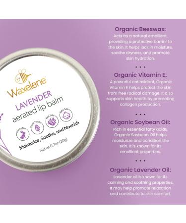 Shop Waxelene Lavender Aerated Lip Balm Tin - 4 Piece | Nourishing Moisture for Lips - International Shipping Available - Buy Online on GoSupps.com