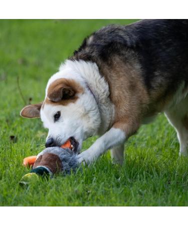 Petface Honking and Squeaky Duck Plush Dog Toy - Interactive Pet Play Toy - Buy Online on GoSupps.com