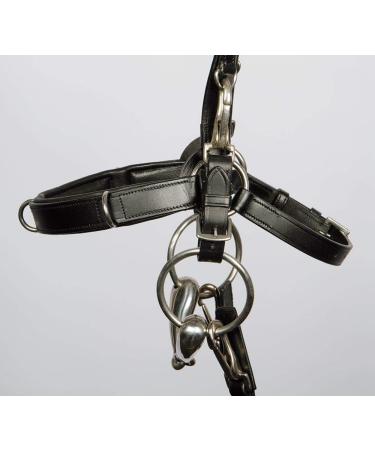 Harry's Horse Kaptoom Leather Headstall - Size Full | Premium Equestrian Gear for International Shipping - Buy Online on GoSupps.com