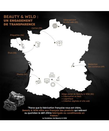 Shilajit Pur 1050 mg 50% Acide Fulvique 90 G lules Shilajit Himalaya nergie Vitalit & Performance Compl ment Alimentaire naturel Fabriqu en France - Buy Online on GoSupps.com