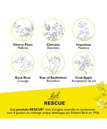 Bach Rescue Cream Pommade d'Urgence 30 ml - Soothing Relief for Stress & Anxiety - International Shipping Available - Buy Online on GoSupps.com