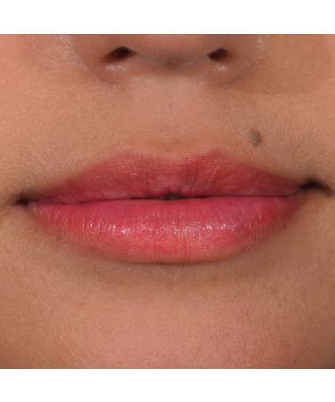 Palladio Lip Stain - Hydrating, Waterproof, Matte Color, Long-Lasting Wear, Smudge-Proof, Orchid - 1 Count - Buy Online on GoSupps.com
