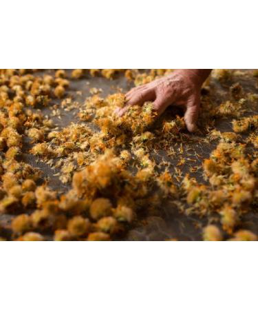 Weleda Arnica Muscle Soak Soothing & Relaxing Bath Soak with Rosemary Leaf Oil & Lavender Essential Oils Aching Muscle Bath Milk by Weleda Skin Care & Wellness - 200ml - Buy Online on GoSupps.com