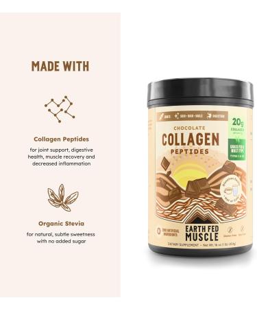 Earth Fed Muscle Chocolate Collagen Peptides Powder Grass Fed Hydrolyzed Collagen for Women & Men - Healthy Bones, Skin & Hair - Types 1 & 3 Collagen Powder, 20g Per Serving, 19 Servings Chocolate 1 Pound (Pack of 1) - Buy Online on GoSupps.com