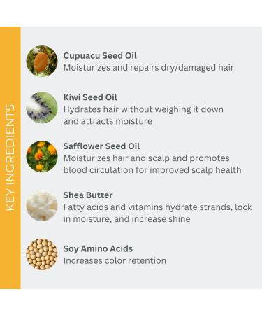 EVOLVh SmartColor Protecting Shampoo | Vegan & Non-Toxic Hair Care | 8.5 fl oz - Buy Online on GoSupps.com