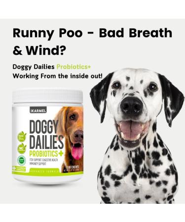 Doggy Dailies Probiotics for Dogs - Canine Supplements for Digestive and Immunity Support - Skin Health and Itch Support - Vitamin Treats - Veterinarian Formulated Probiotic 180 Count (Pack of 1) - Buy Online on GoSupps.com