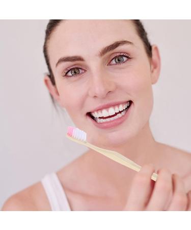 Buy Healvian 200 Stk Disposable Travel Toothbrush with Packaged Toothpaste | Waterproof Mini Toothbrush for On-The-Go Oral Care - Buy Online on GoSupps.com