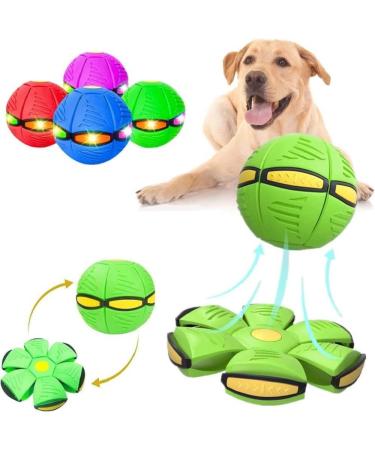 GUYAQ Pet Toy Flying Saucer Ball New Flying Saucer Ball Dog Toy Pet Flying Saucer Ball Flying Saucer Dog Toy Suitable for Cats and Dogs (Ordinary Model Blue) Ordinary Model Blue - Buy Online on GoSupps.com