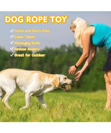 Vivifying Dog Rope Ball 2 Pack Braided Cotton Chew Balls for Dental Care & Play - Buy Online on GoSupps.com