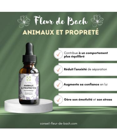 Bach Flowers Pets and Cleanliness Do you want to improve the cleanliness of your dog or cat This mixture is a natural solution to make your pet clean. Fl30ML Pack of 2 - Buy Online on GoSupps.com