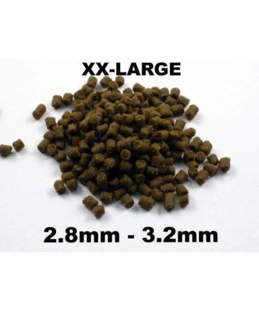 Dr. Bassleer Biofish Food Chlorella M - 150 g - Buy Online on GoSupps.com