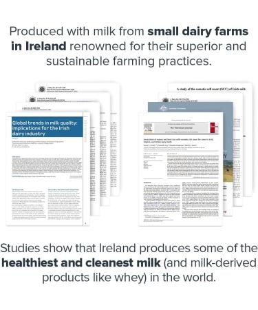 LEGION Casein+ Casein Protein Powder (Cinnamon Cereal) - Slow-Release Micellar Protein Powder - Non-GMO Gluten-Free & Naturally Sweetened Powder from Grass-Fed Cows - Buy Online on GoSupps.com