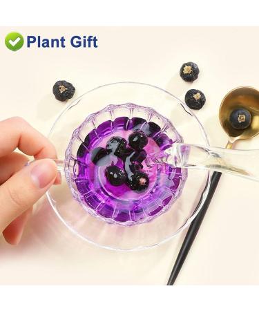 Flower 2 (100G-Black Wolfberry) - Buy Online on GoSupps.com