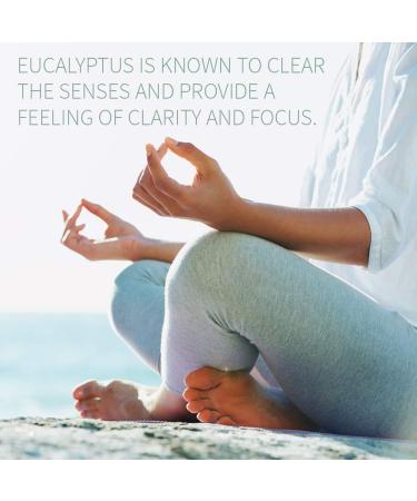 Garden of Life Essential Oils - 100% Organic & Pure Eucalyptus Essential Oil for Diffuser Aromatherapy Meditation - Clarity & Focus Stimulate Invigorate Refresh 0.5 fl oz 0.5 Fl Oz (Pack of 1) - Buy Online on GoSupps.com