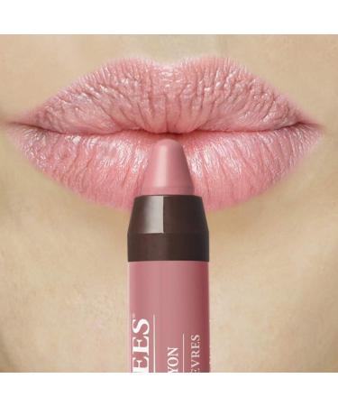 Burt's Bees Sedona Sands Matte Lip Crayon - 100% Natural Origin, Moisturizing Formula | 1 Count - Buy Online on GoSupps.com