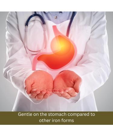 Ferrous Bisglycinate Powder | 227g / 0.5 lbs | Pure Chelated Iron Supplement Ingredient - Buy Online on GoSupps.com