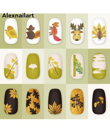 Alexnailart Nail Art Stamping Plates Image Template Nature Plant Leaf Pattern Design Stamper Nail Art DIY Print Manicure Nail Art Stencil Tools NA035 - Buy Online on GoSupps.com