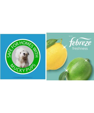 Flash All Purpose & Floor cleaner Pack of 3: for Pet Lovers 1L Citrus Freshness + Traditional French Soap & Lavender 1L + For Wood with Almond Oil Mandarin & Cedarwood 1L - Buy Online on GoSupps.com