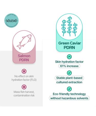 SELEVE Glow Caviar Hydration & Radiance Duo Green Caviar Ampoule + Glow Cream with Liposomal PDRN Niacinamide & Ferulic Acid For Sensitive & Dry Skin Korean Skincare Set - Buy Online on GoSupps.com