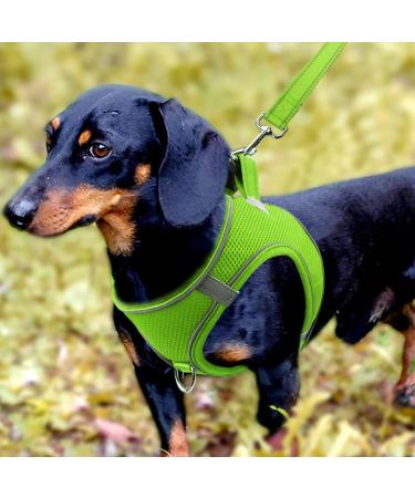 Joyal Dog Harness - Reflective Soft Padded & Air-Mesh for Small & Medium Dogs | Green M (42-47cm) - Buy Online on GoSupps.com