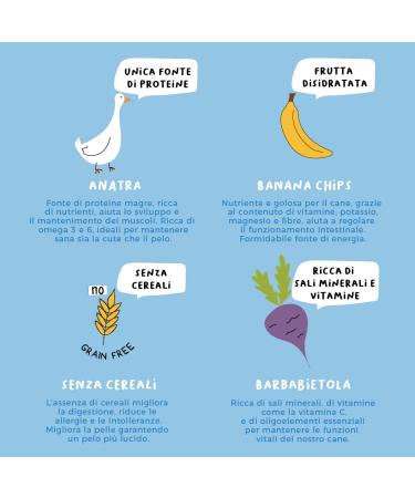 Grain-Free Dog Food Monoprotein Duck and Banana Chips Dehydrated Pieces | 7Kg Crunchy Medium Large Adult Dogs | Natural Dry Food | Hygge Dog - Buy Online on GoSupps.com