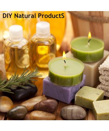 Essential Oils Set - Top 6 for Diffusers Candle Making Scents Fragrance Aromatherapy Gifts - Sandalwood Camphor Pine Needles Juniper Cypress Wintergreen (10mL) Woodland & Herbal - Buy Online on GoSupps.com