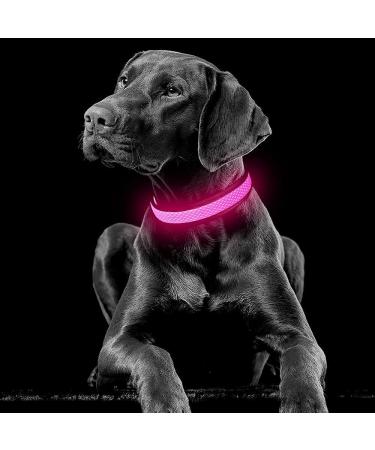 YFbrite Rechargeable LED Dog Collar - Pink Medium | Adjustable Light up Collar for Safety and Visibility at Night | Suitable for Puppy, Small, Medium, Large Dogs - Buy Online on GoSupps.com
