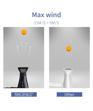 Shop 1875 Watt Professional Ionic Hair Dryer | Fast Drying Maximum Shine ETL Certified - Includes Diffuser & Concentrator - Buy Online on GoSupps.com
